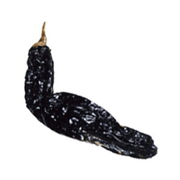 Chile mulato seco 100g Genérico